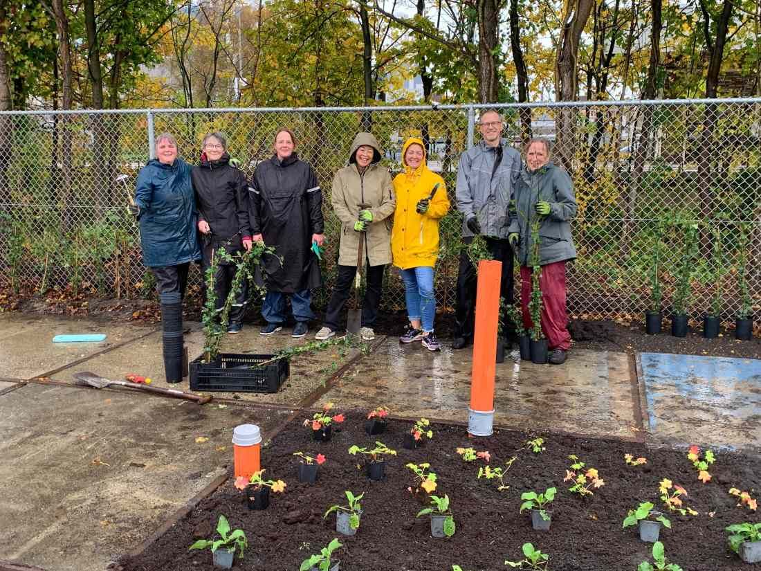 guisweg groenzaans helpt mee aan een bloemrijke duurzame omgeving bij het projectbureau